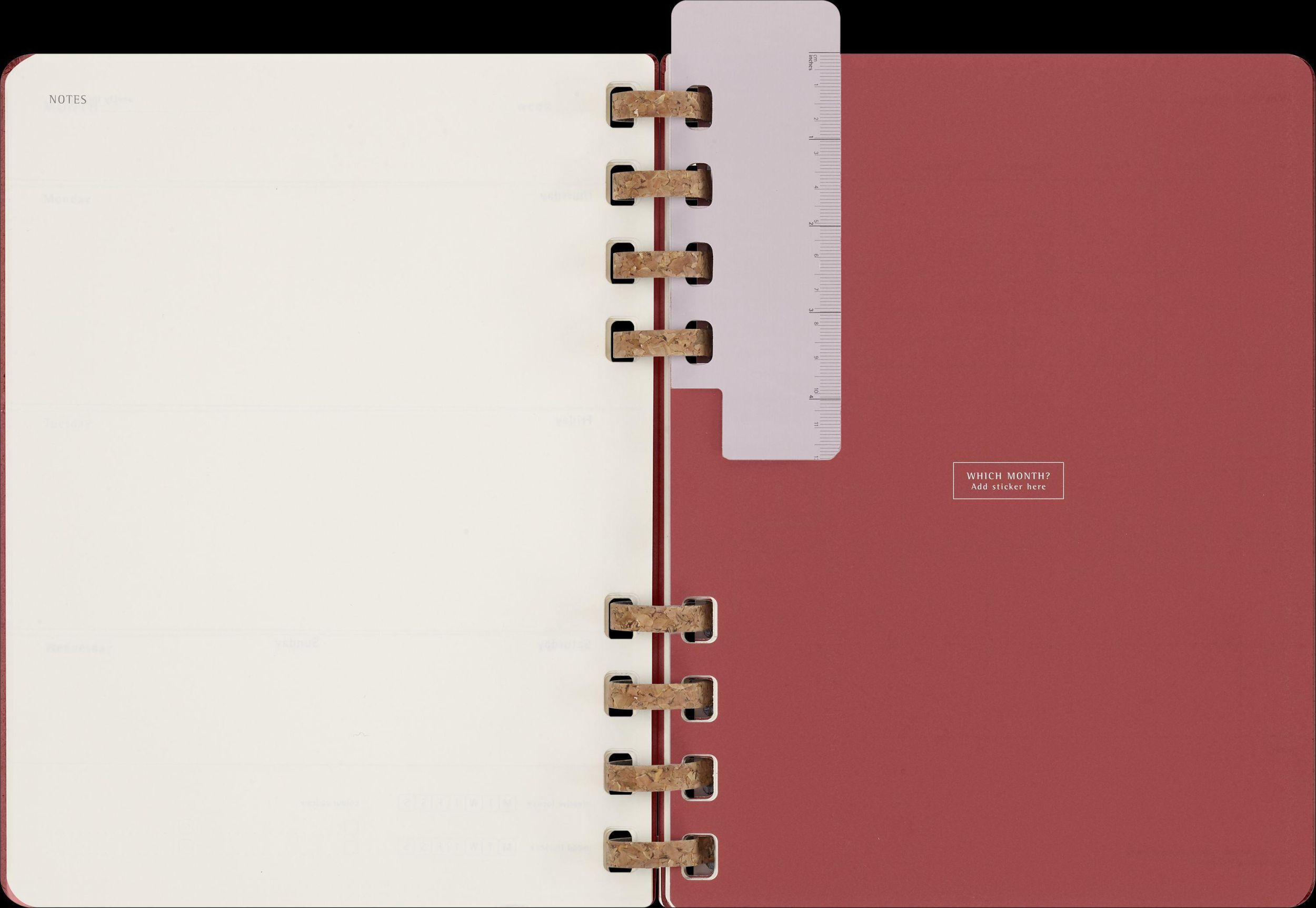 Bild: 8056598856361 | Moleskine Undatierter Life Kalender Mit Spiralbindung, Xl,...