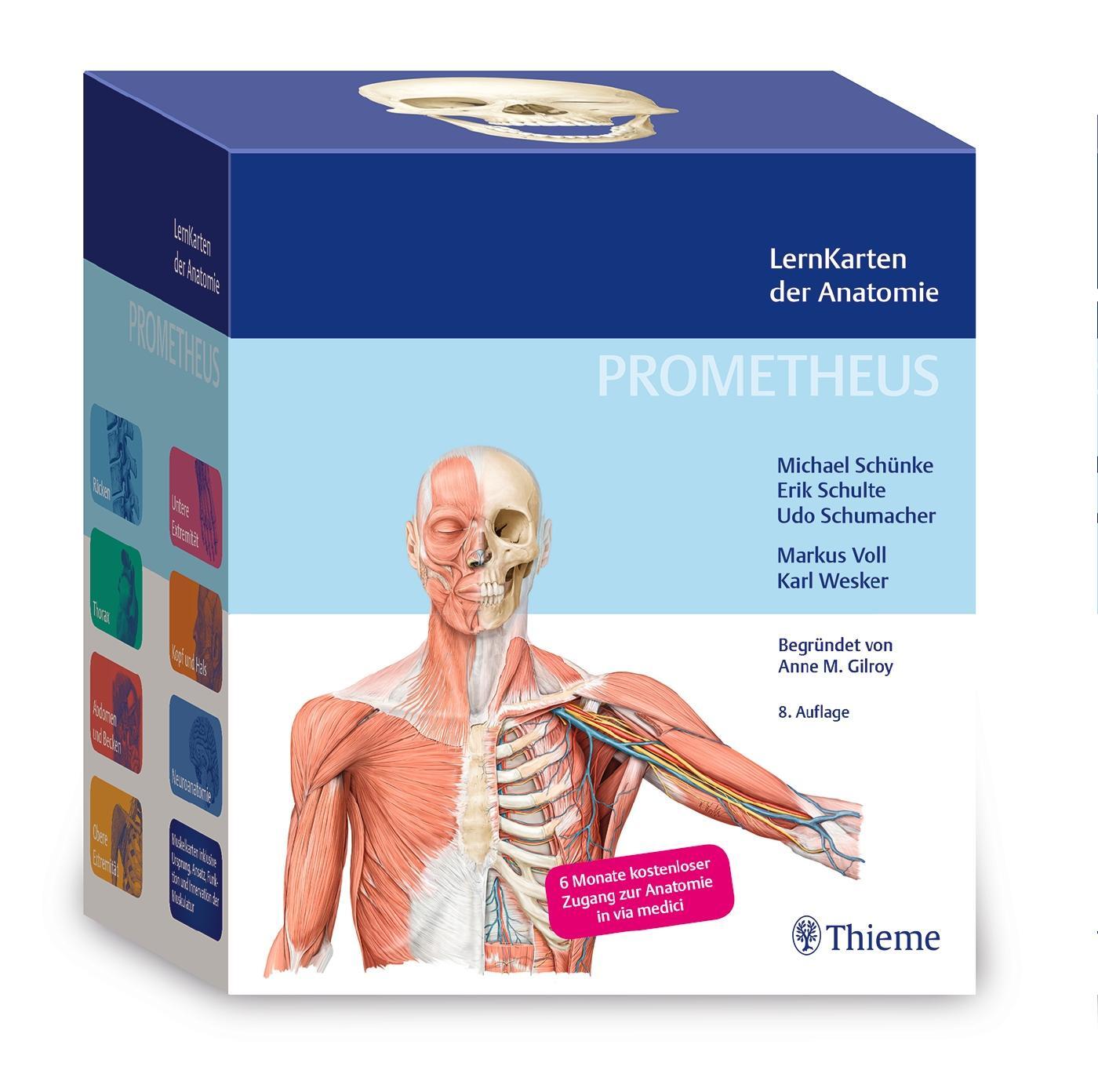 Cover: 9783132444256 | PROMETHEUS LernKarten der Anatomie | Michael Schünke (u. a.) | Box