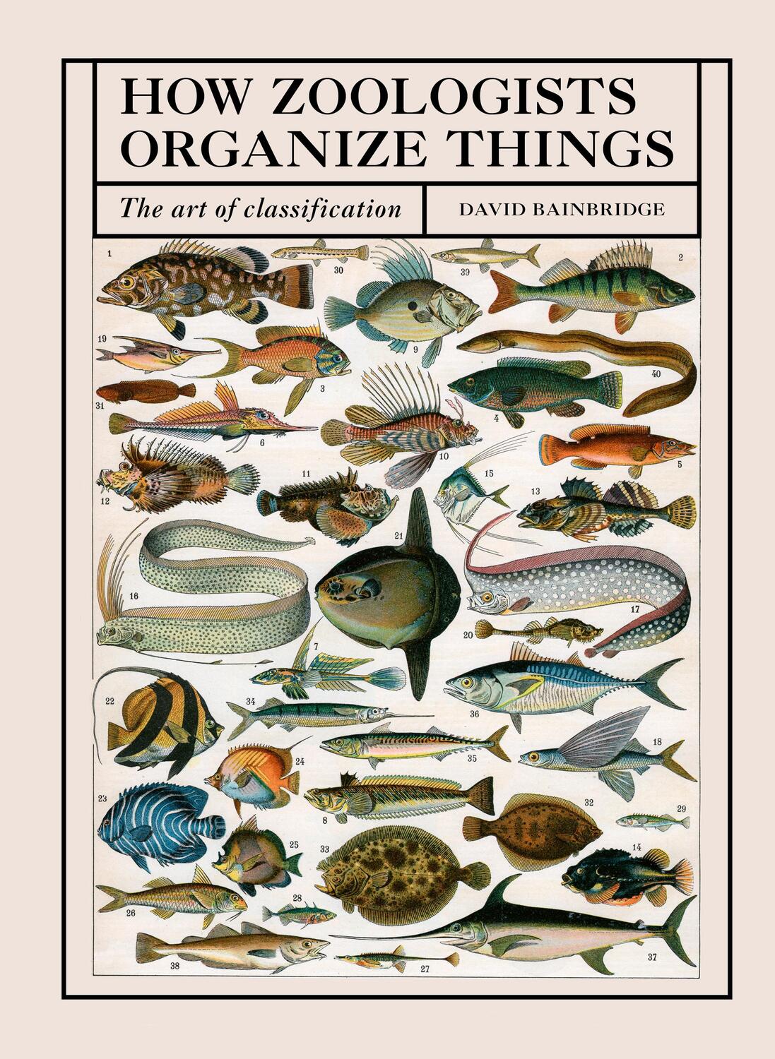 Cover: 9780711252264 | How Zoologists Organize Things | The Art of Classification | Buch