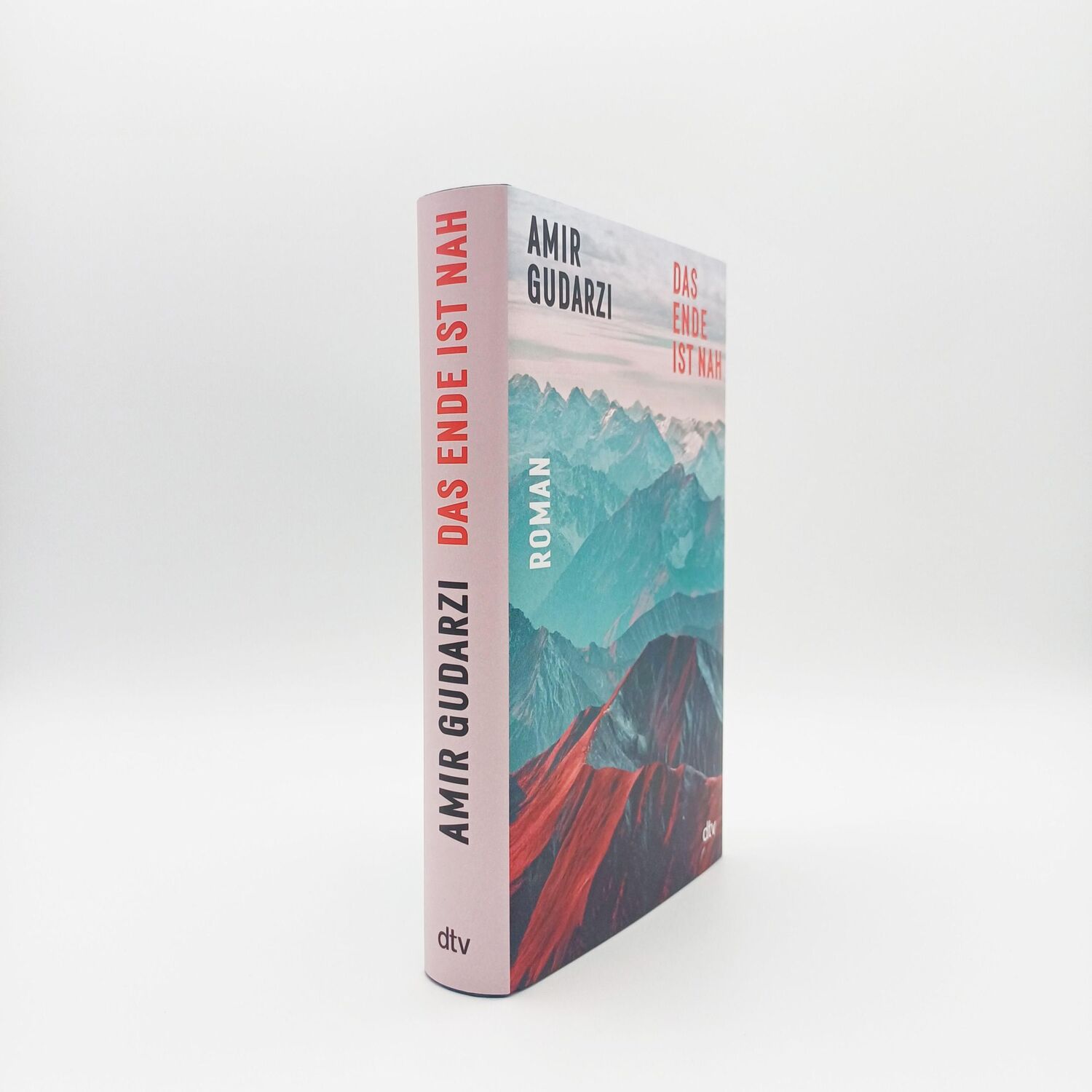 Bild: 9783423290340 | Das Ende ist nah | Amir Gudarzi | Buch | 416 S. | Deutsch | 2023