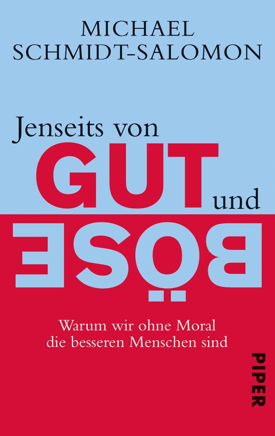 Cover: 9783492273381 | Jenseits von Gut und Böse | Michael Schmidt-Salomon | Taschenbuch