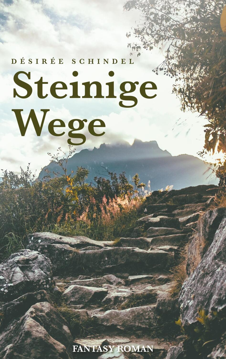 Cover: 9783734739699 | Steinige Wege | Désirée Schindel | Taschenbuch | Books on Demand