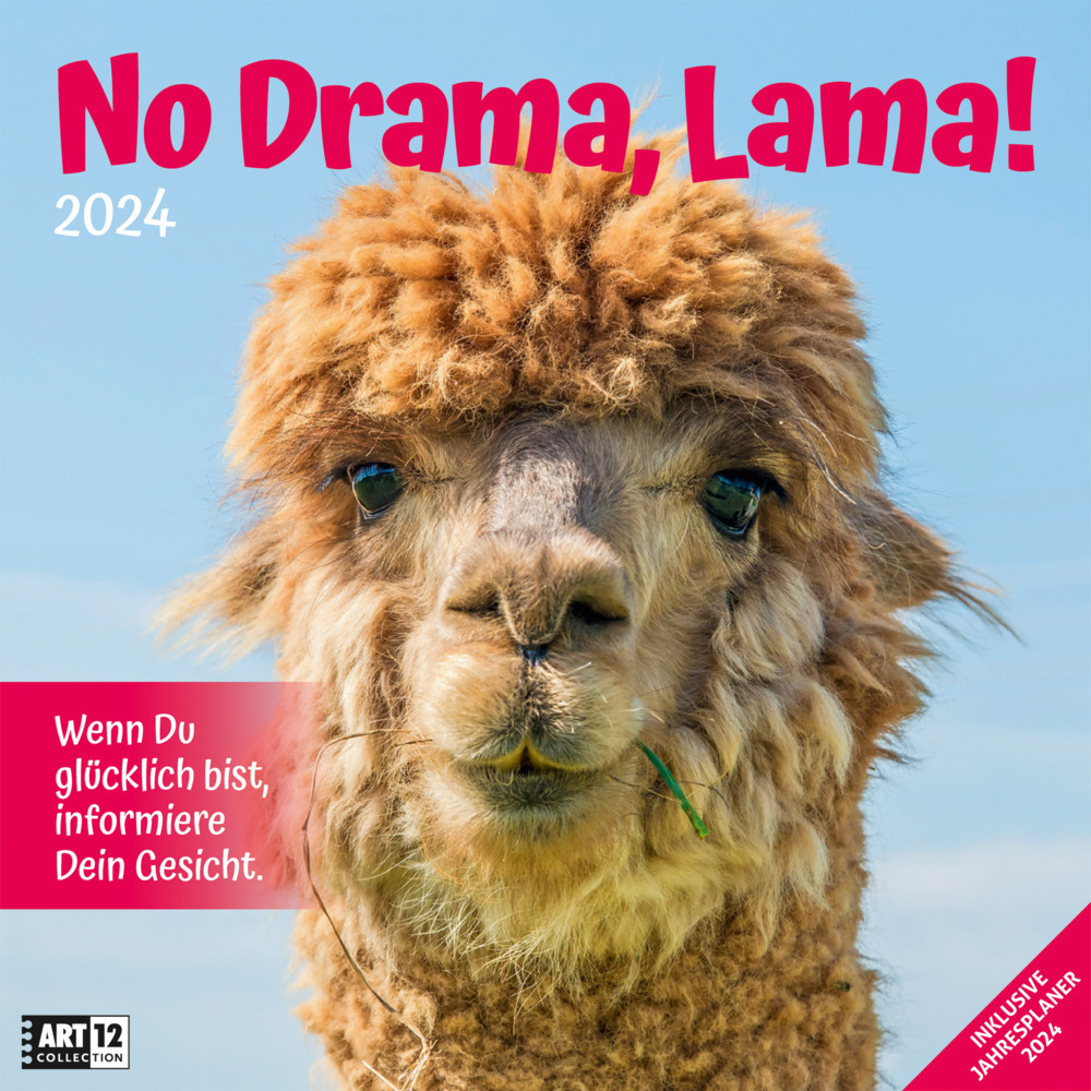 Cover: 9783838444277 | No Drama, Lama! Kalender 2024 - 30x30 | Ackermann Kunstverlag | 28 S.