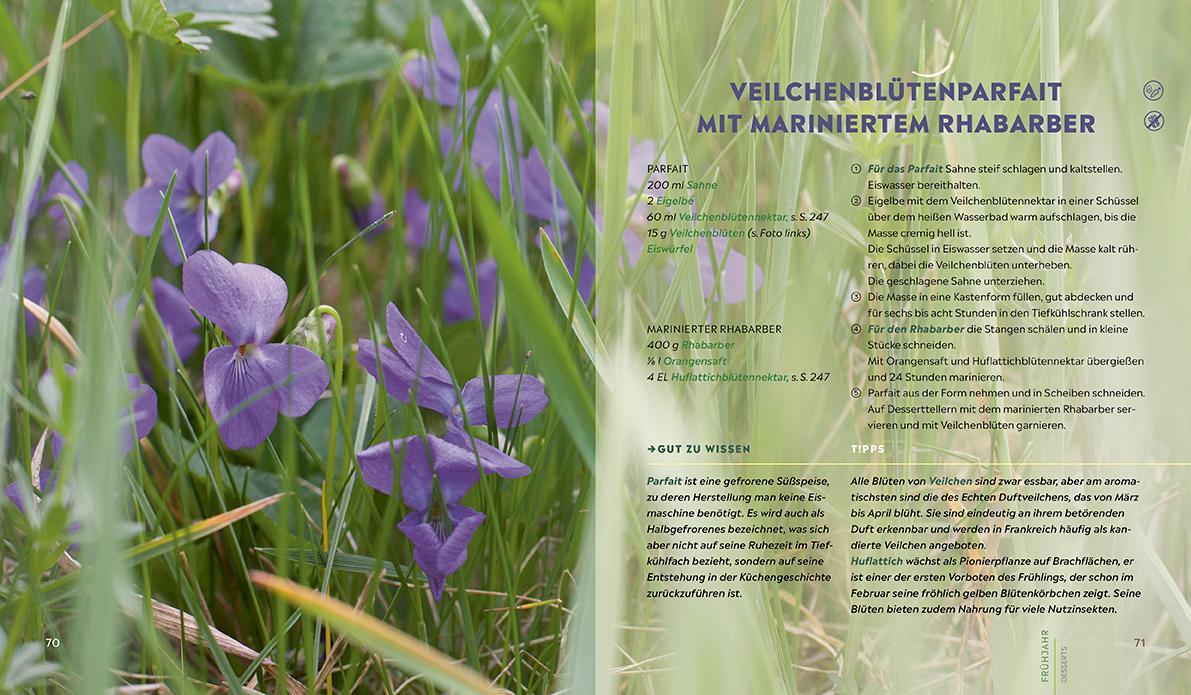 Bild: 9783775007818 | Der Naturkoch | Jürgen Andruschkewitsch | Buch | 336 S. | Deutsch