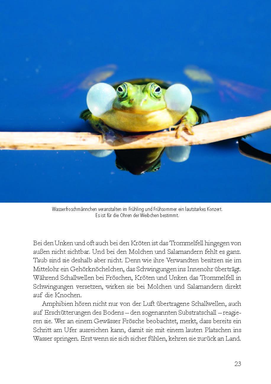 Bild: 9783895664199 | Wunderwelt heimische Amphibien | Farina Graßmann | Buch | 176 S.