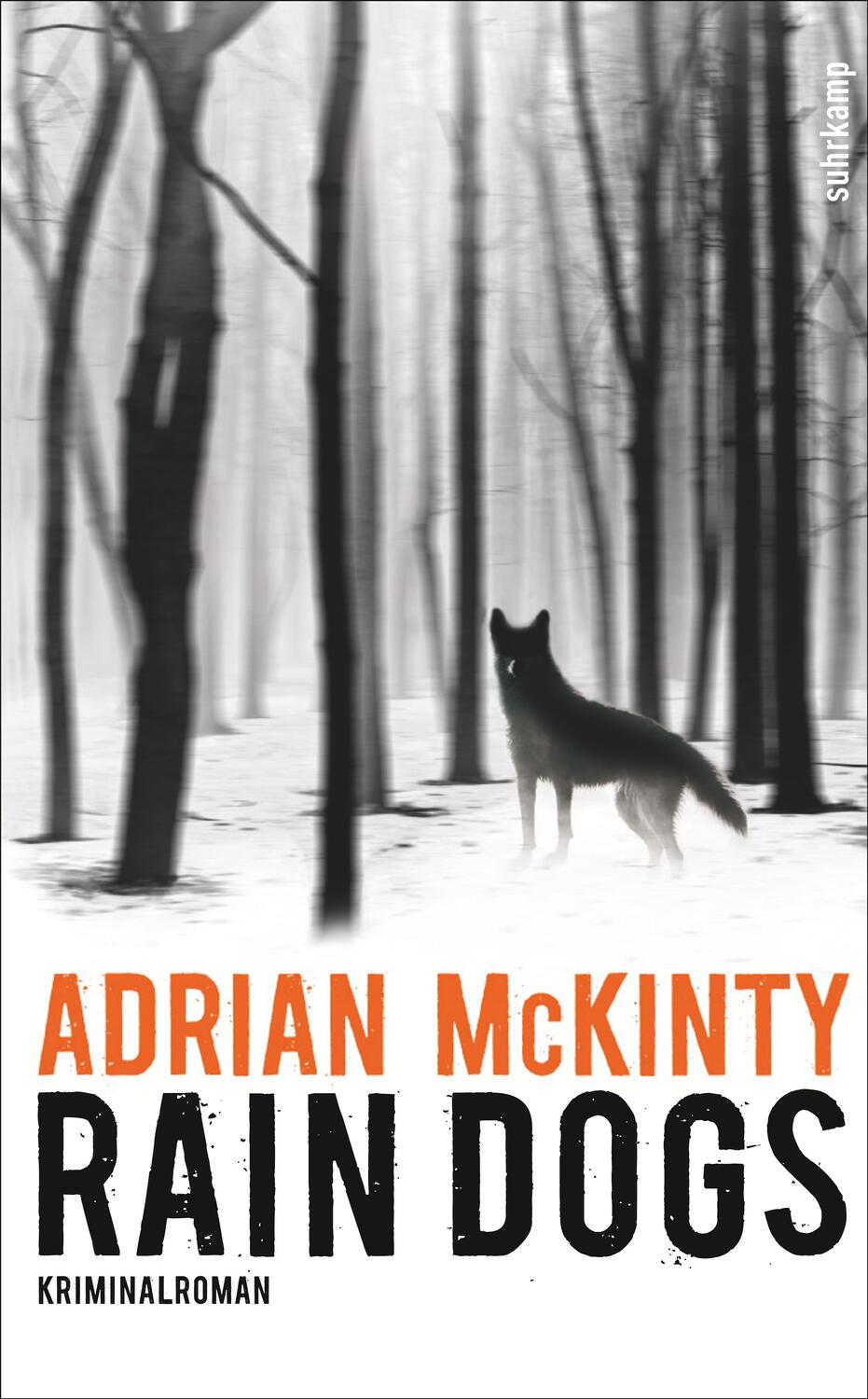 Cover: 9783518468685 | Rain Dogs | Adrian Mckinty | Taschenbuch | Sean Duffy | Deutsch | 2018