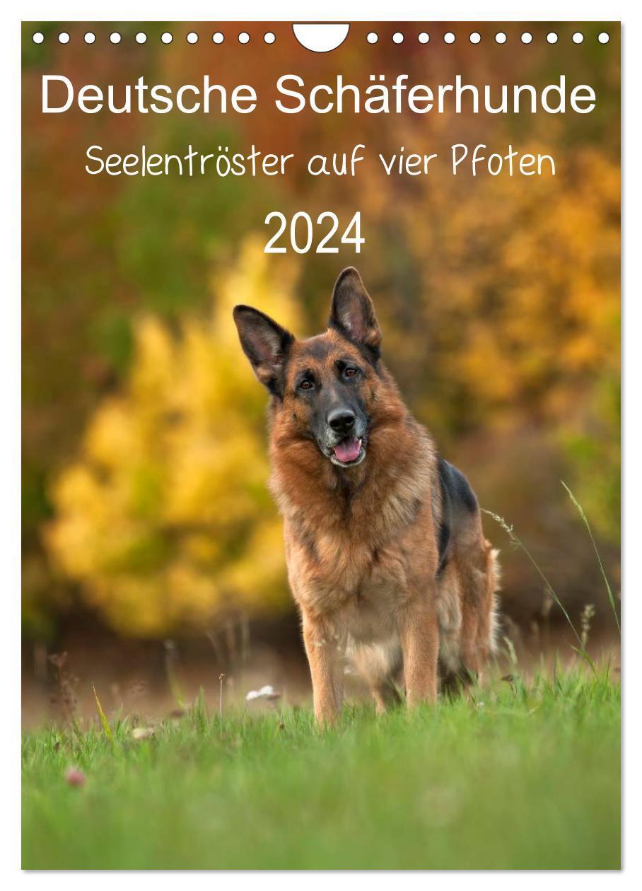 Cover: 9783383341083 | Deutsche Schäferhunde - Seelentröster auf vier Pfoten (Wandkalender...