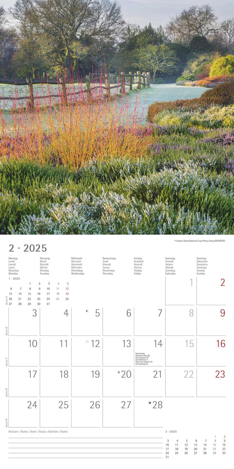 Bild: 4251732340629 | Gartenzauber 2025 - Broschürenkalender 30x30 cm (30x60 geöffnet) -...