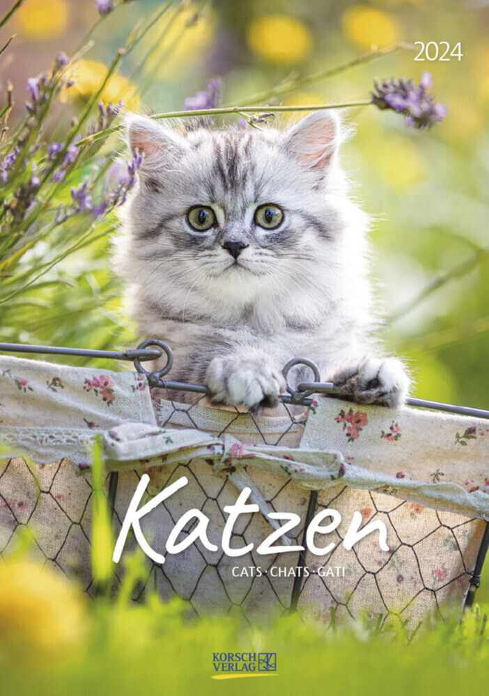 Cover: 9783731868958 | Katzen 2024 | Korsch Verlag | Kalender | Spiralbindung | 13 S. | 2024