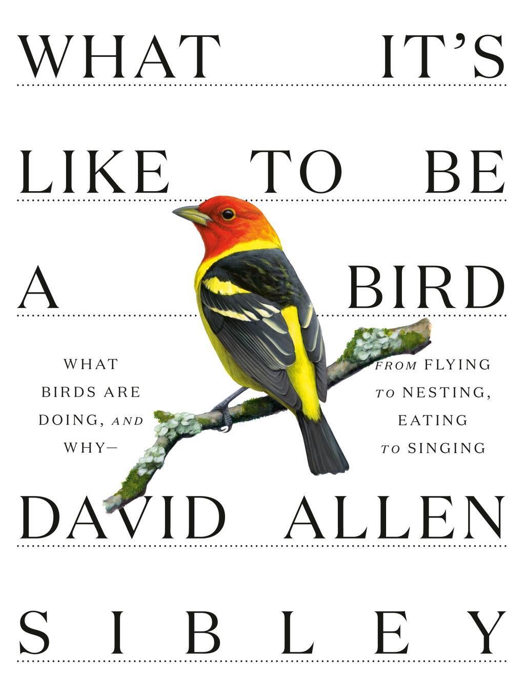 Cover: 9780307957894 | What It's Like to Be a Bird | David Allen Sibley | Buch | Englisch