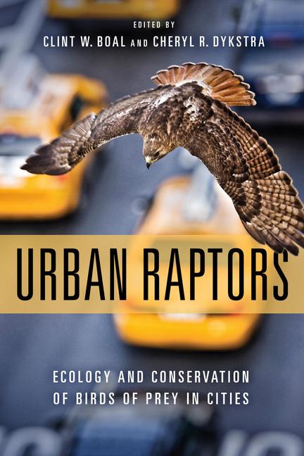 Cover: 9781610918404 | Urban Raptors: Ecology and Conservation of Birds of Prey in Cities