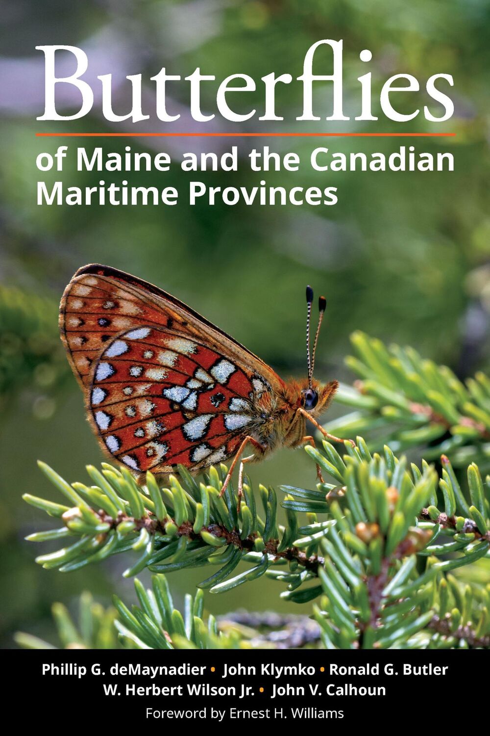 Cover: 9781501768941 | Butterflies of Maine and the Canadian Maritime Provinces | Taschenbuch