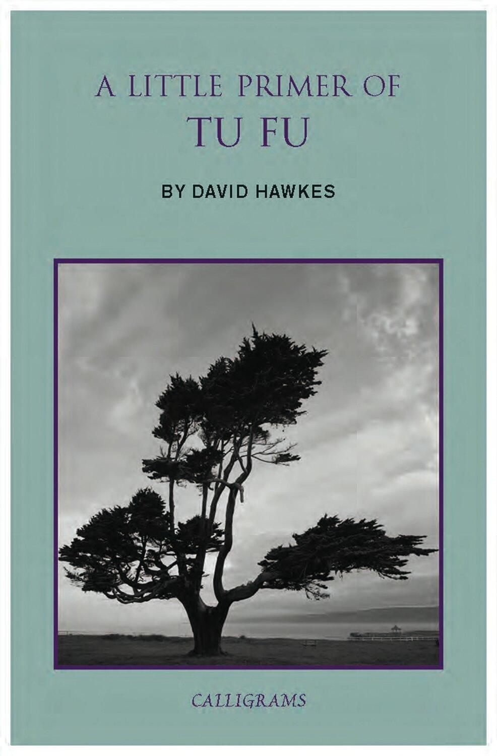 Cover: 9789629966591 | A Little Primer Of Tu Fu | David Hawkes | Taschenbuch | Englisch