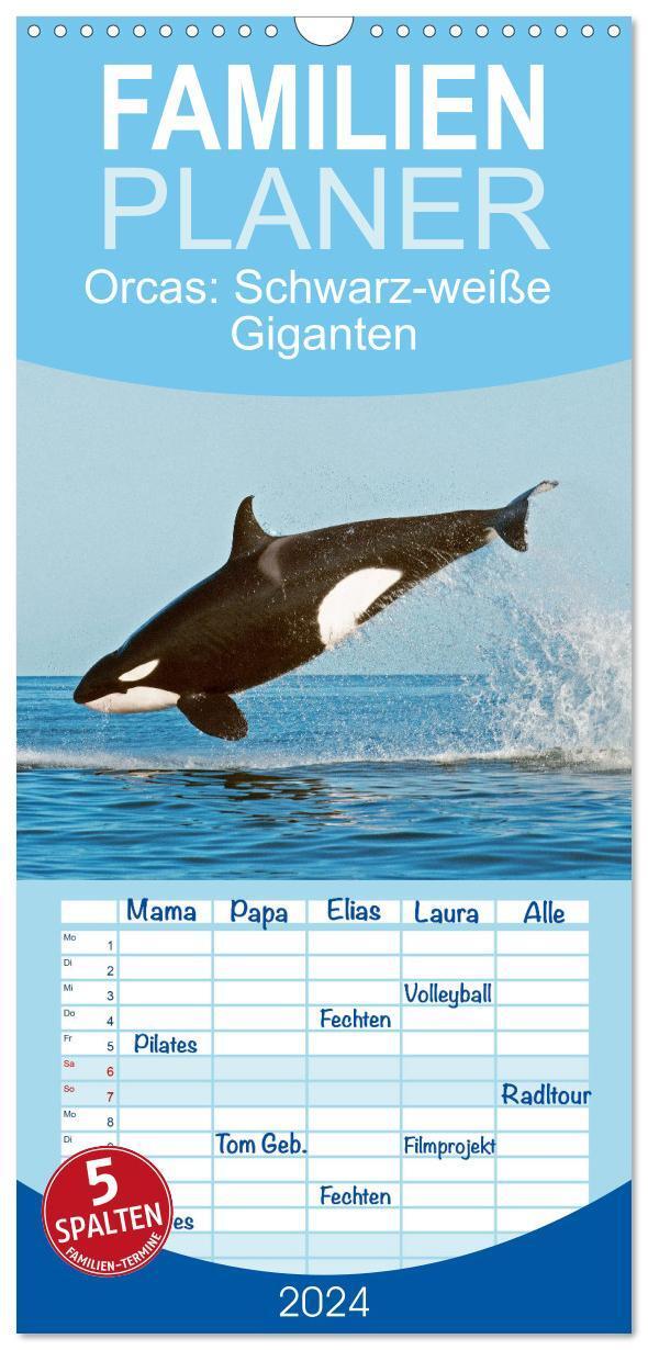 Cover: 9783383715396 | Familienplaner 2024 - Orcas: Schwarz-weiße Giganten mit 5 Spalten...