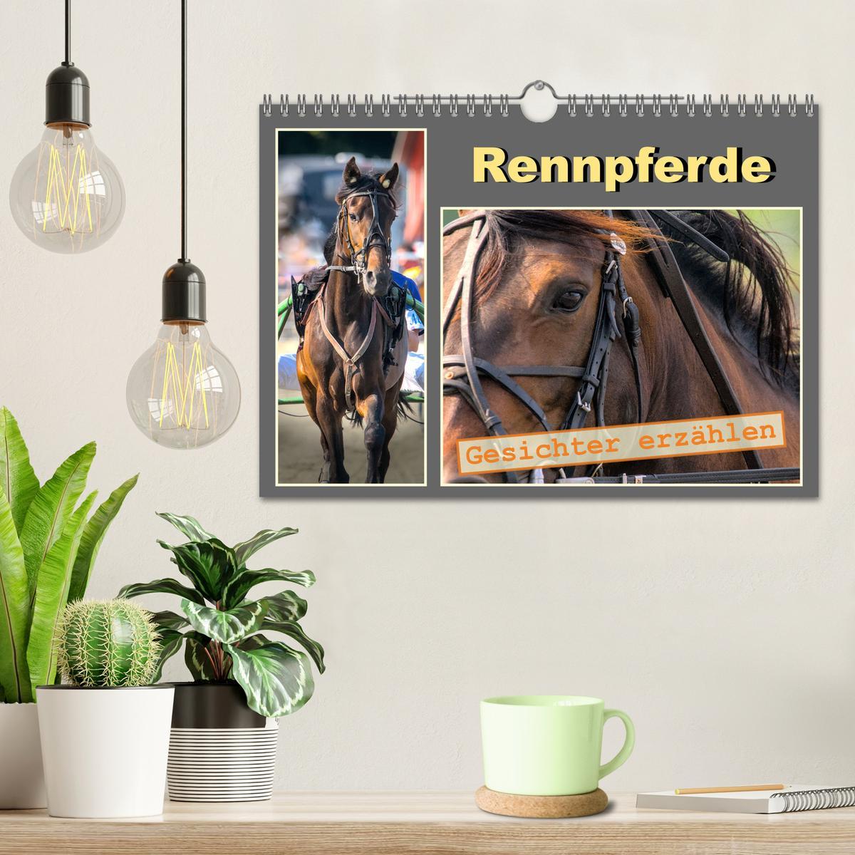 Bild: 9783383838118 | Rennpferde - Gesichter erzählen (Wandkalender 2025 DIN A4 quer),...