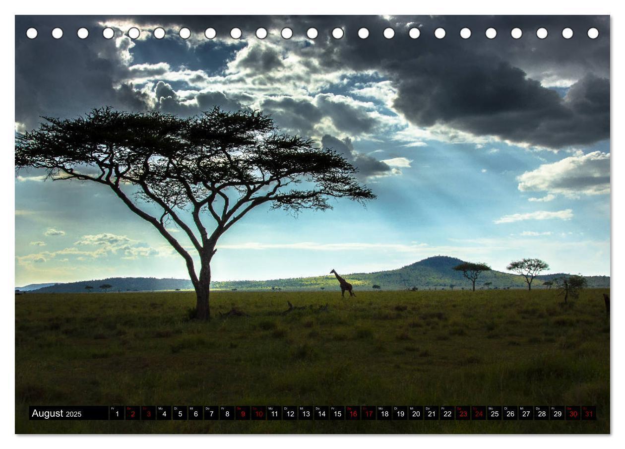 Bild: 9783435341252 | Tansania - Tierwanderung in der Serengeti (Tischkalender 2025 DIN...