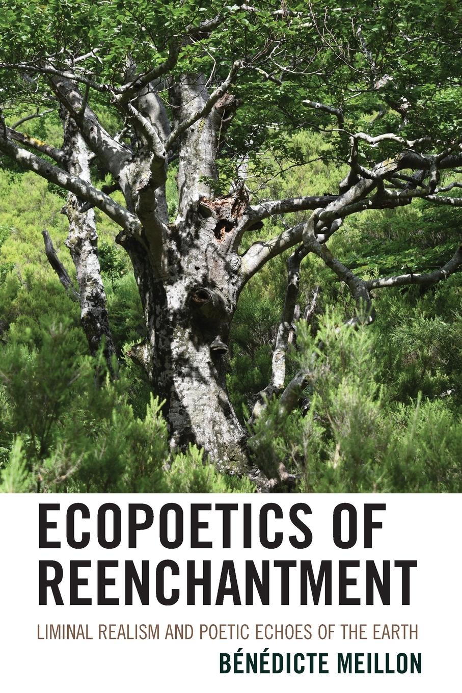 Cover: 9781666910445 | Ecopoetics of Reenchantment | Bénédicte Meillon | Taschenbuch | 2024