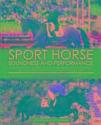 Cover: 9781910016244 | Sport Horse | Cecilia Lonnell | Buch | Gebunden | Englisch | 2017