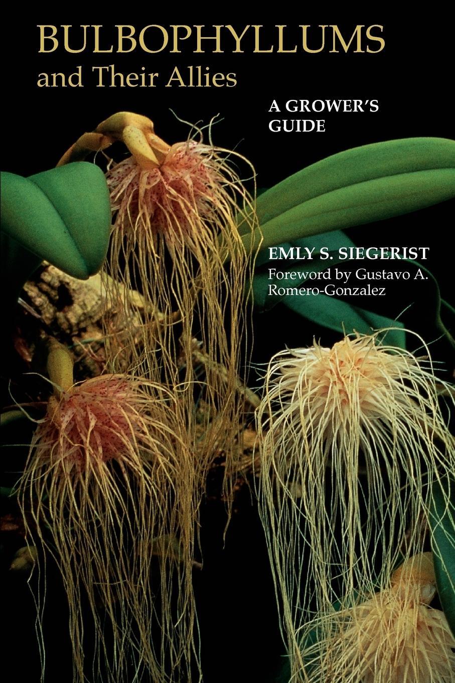 Cover: 9780881929843 | Bulbophyllums and Their Allies | Emly A. Siegerist | Taschenbuch