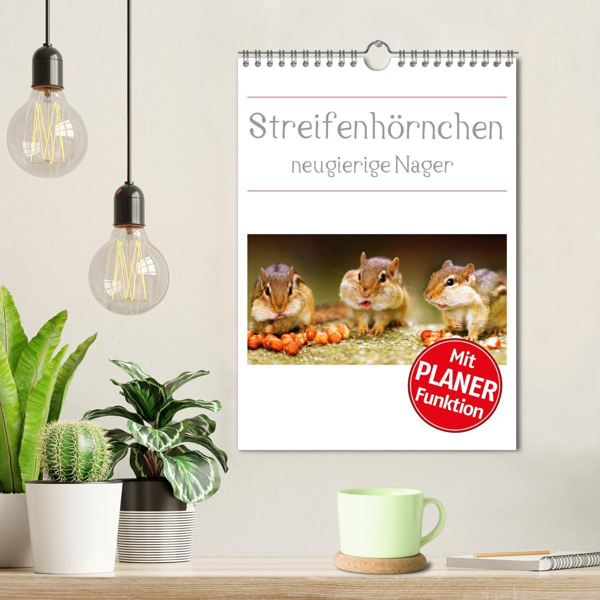 Bild: 9783457026670 | Streifenhörnchen - neugierige Nager (Wandkalender 2025 DIN A4...