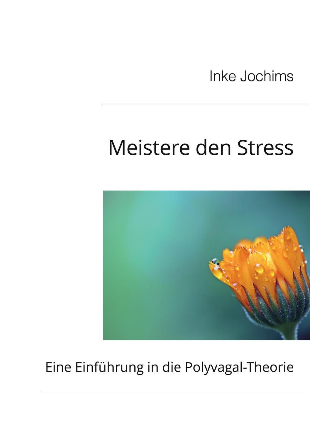 Cover: 9783752627893 | Meistere den Stress | Eine Einführung in die Polyvagal-Theorie | Buch