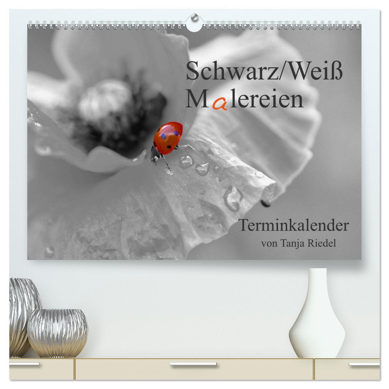 Cover: 9783383615771 | Schwarz-Weiß Malereien Terminkalender von Tanja Riedel für die...