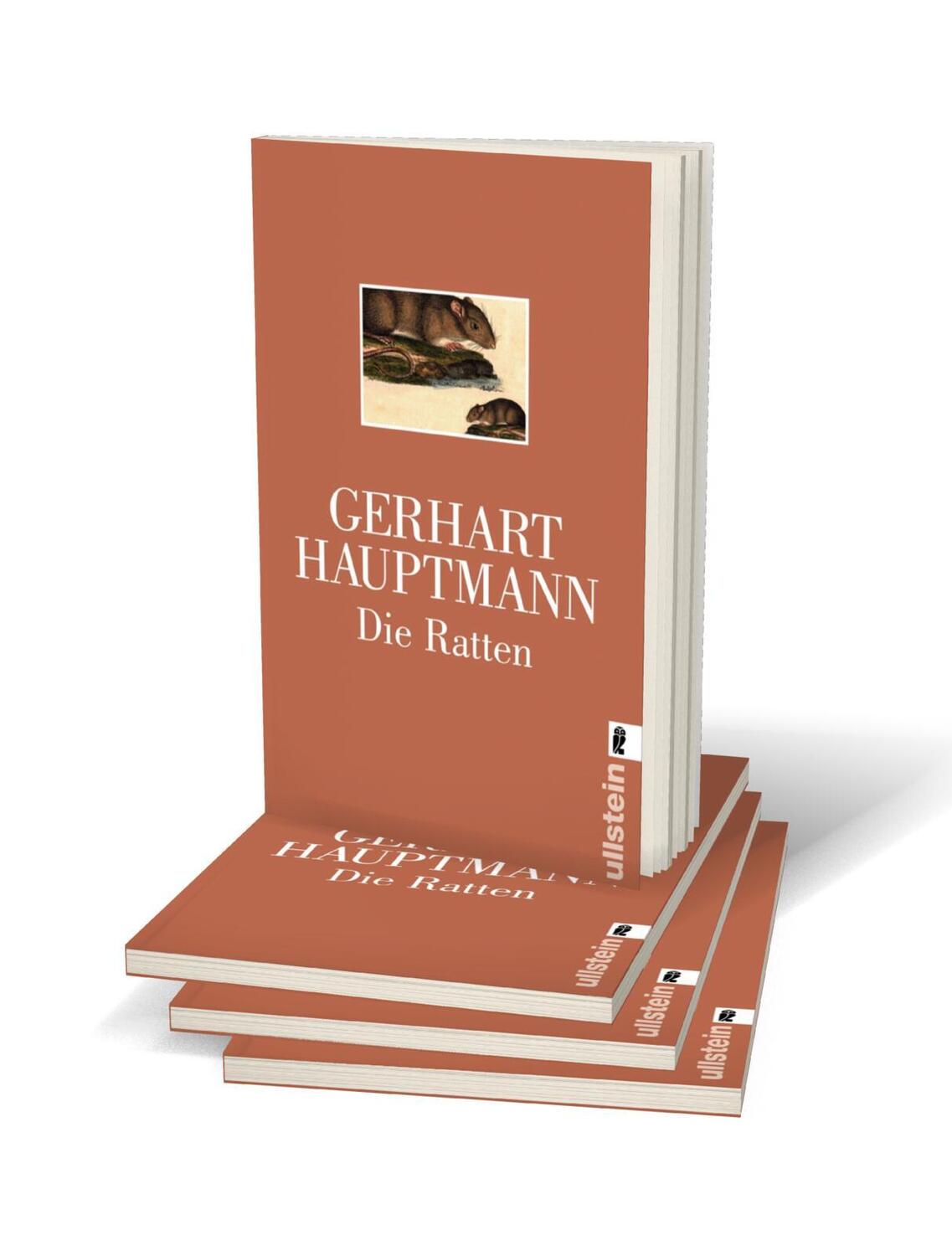 Bild: 9783548235639 | Die Ratten | Berliner Tragikomödie | Gerhart Hauptmann | Taschenbuch