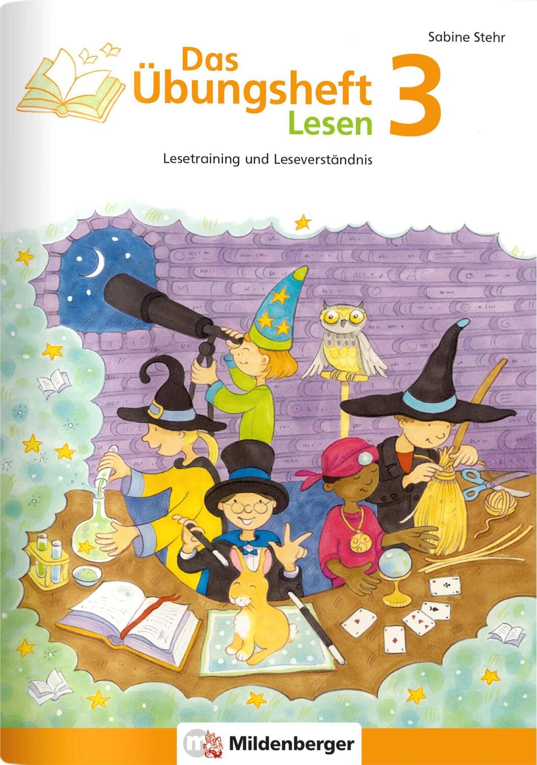 Cover: 9783619341726 | Das Übungsheft Lesen 3 | Sabine Stehr | Broschüre | 64 S. | Deutsch