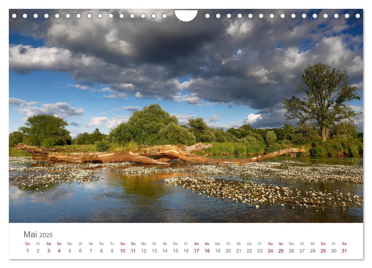 Bild: 9783435194698 | Dessau Design und ein schöner Park (Wandkalender 2025 DIN A4 quer),...