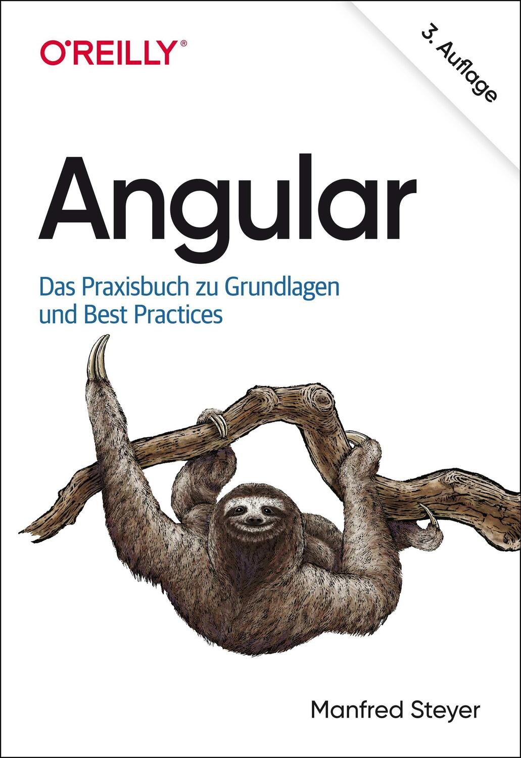 Cover: 9783960091660 | Angular | Das Praxisbuch zu Grundlagen und Best Practices | Steyer