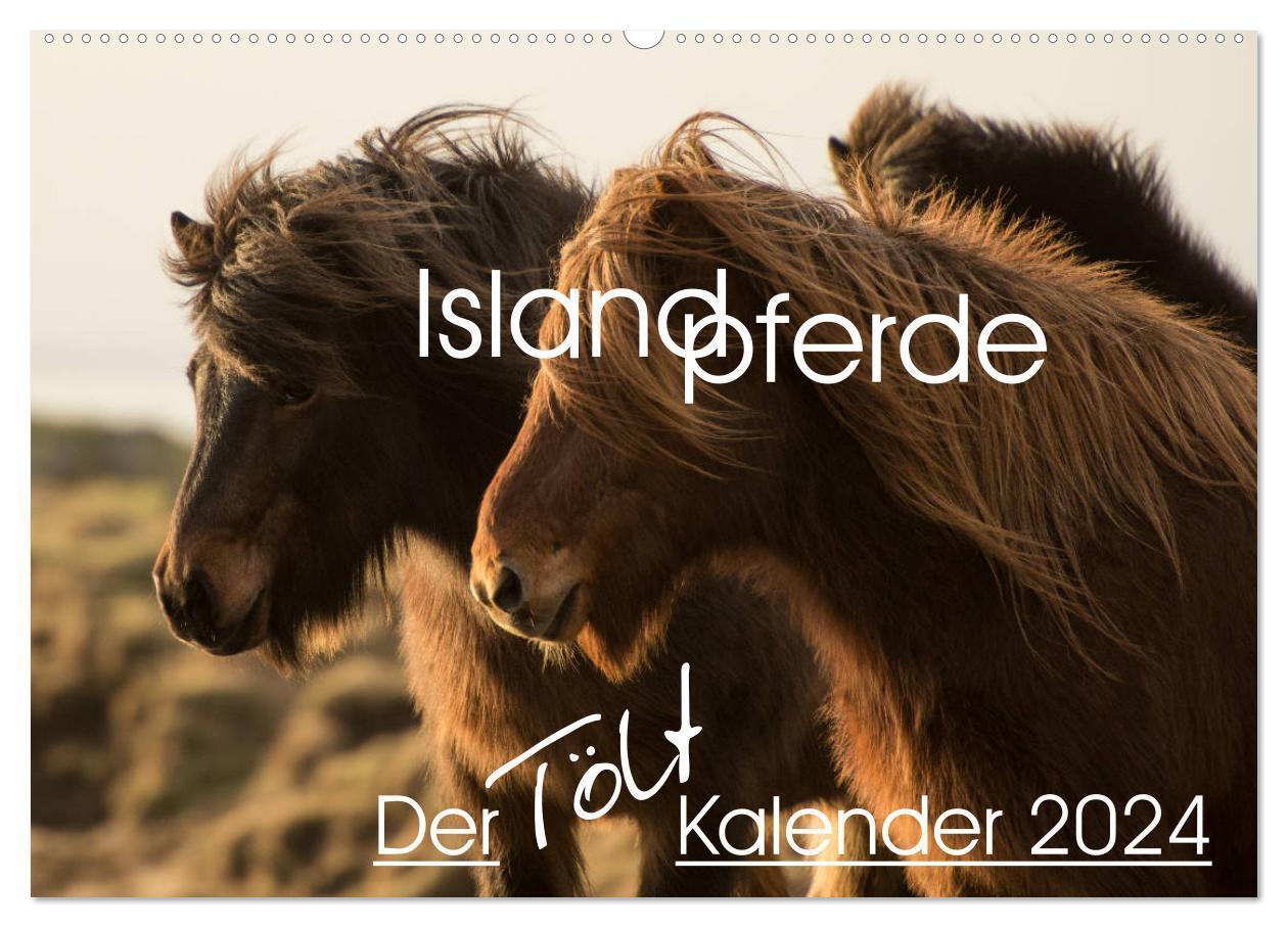 Cover: 9783675697096 | Islandpferde - Der Tölt Kalender (Wandkalender 2024 DIN A2 quer),...