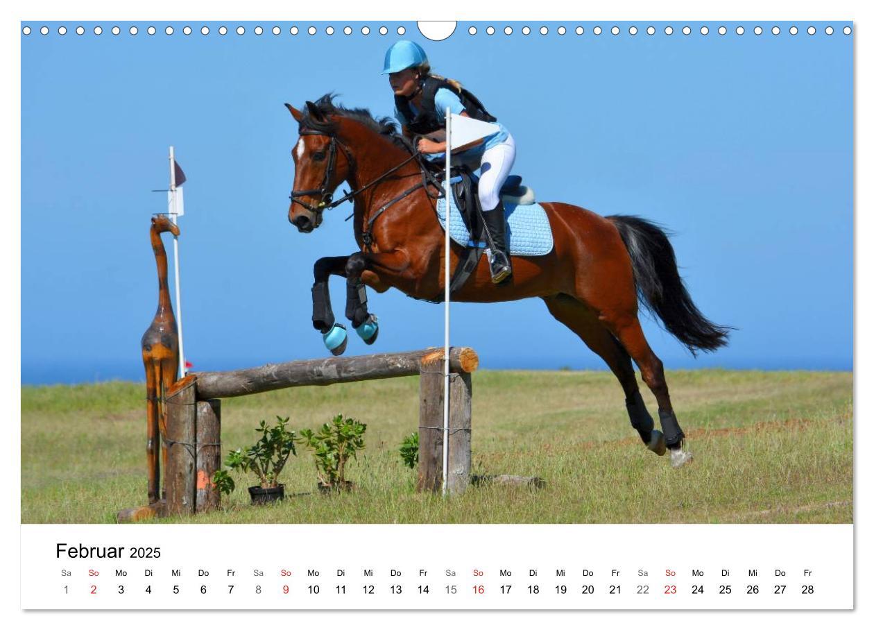 Bild: 9783435618057 | Vielseitigkeitsreiten (Wandkalender 2025 DIN A3 quer), CALVENDO...