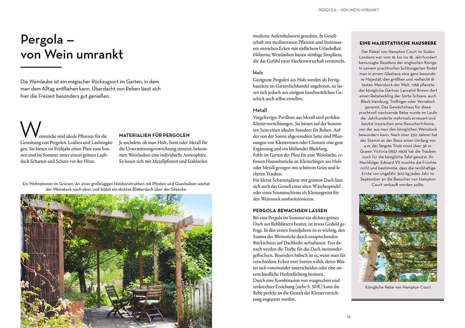 Bild: 9783440178553 | Wein im Garten anbauen &amp; ernten | Angelika Schartl | Taschenbuch