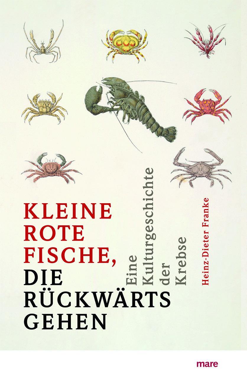 Cover: 9783866487130 | »Kleine rote Fische, die rückwärtsgehen« | Heinz-Dieter Franke | Buch