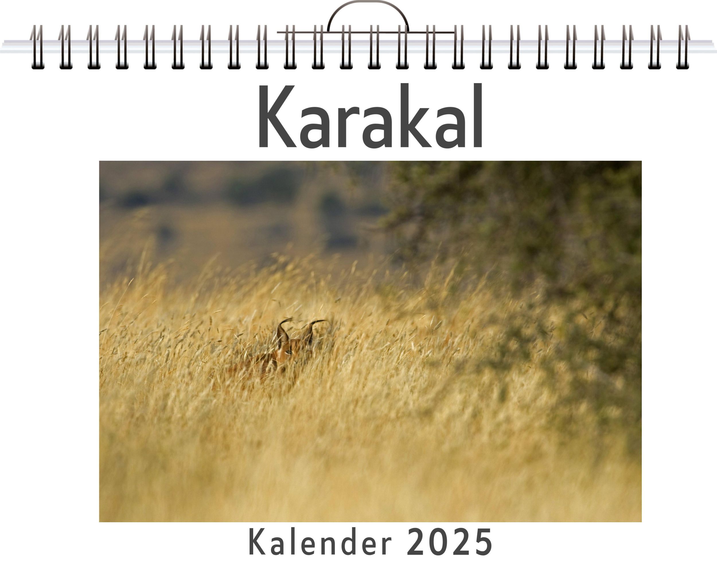 Cover: 9783759132390 | Karakal | Samuel Schmitt | Kalender | Kalender | 14 S. | Deutsch