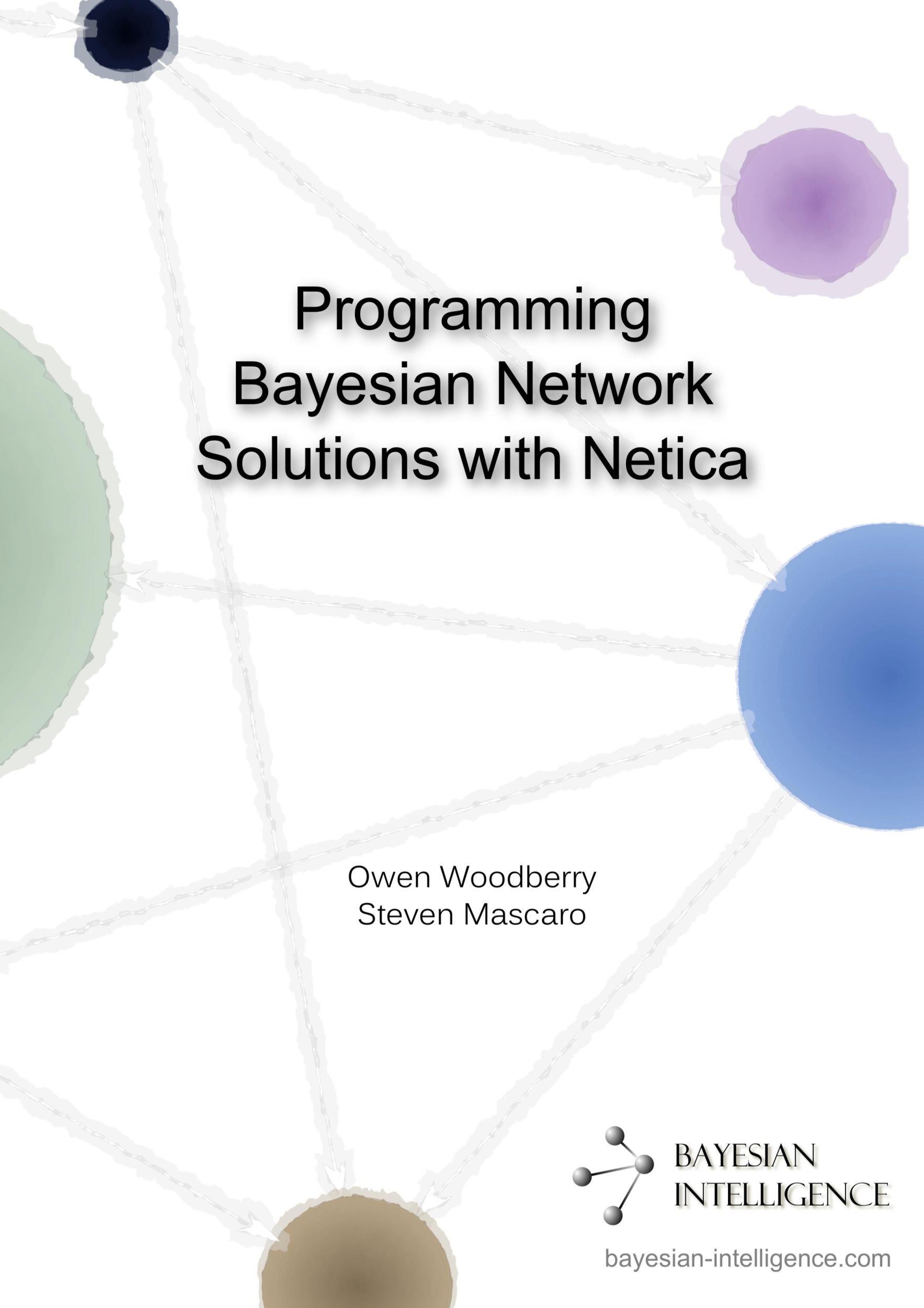 Cover: 9781291812671 | Programming Bayesian Network Solutions with Netica | Woodberry (u. a.)