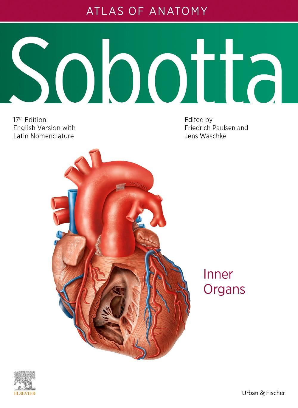 Cover: 9780702067662 | Sobotta Atlas of Anatomy, Vol. 2, 17th ed., English/Latin | Buch