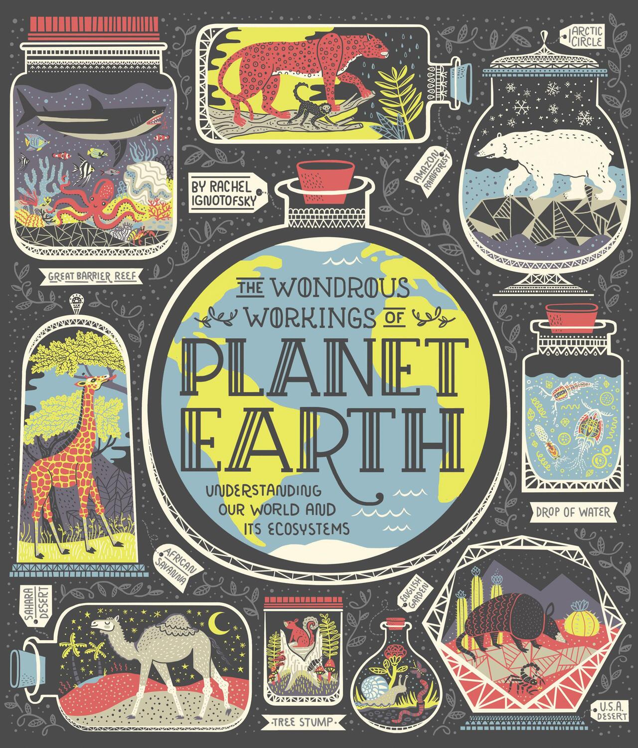 Cover: 9780399580413 | The Wondrous Workings of Planet Earth | Rachel Ignotofsky | Buch