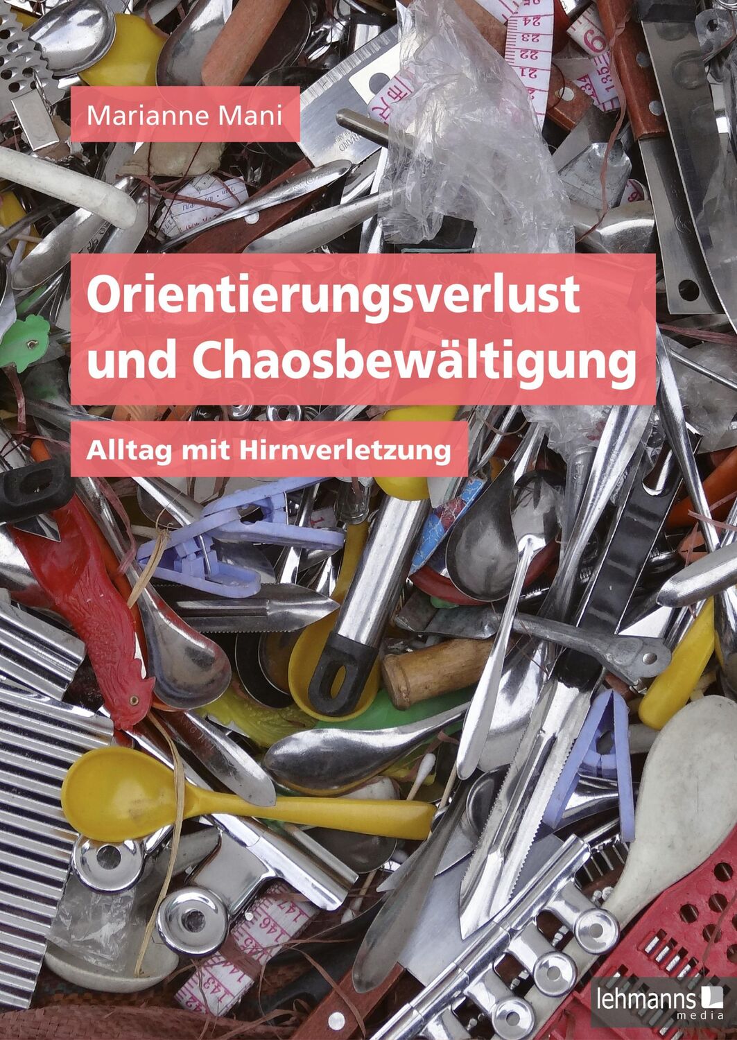 Cover: 9783965433892 | Orientierungsverlust und Chaosbewältigung | Alltag mit Hirnverletzung