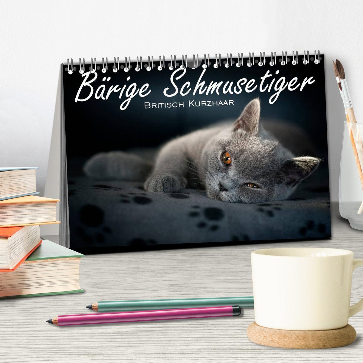 Bild: 9783435762170 | Bärige Schmusetiger - Britisch Kurzhaar (Tischkalender 2025 DIN A5...