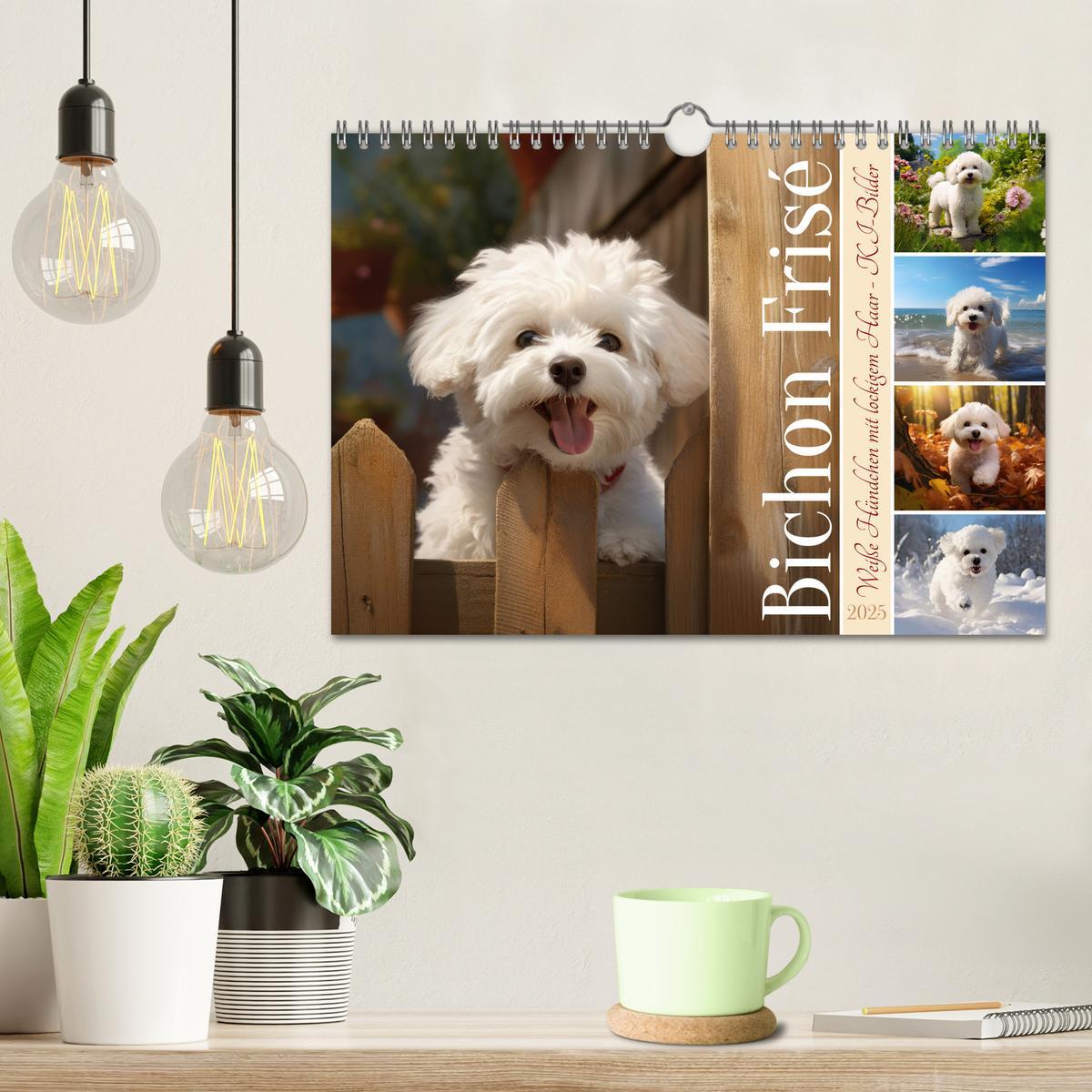 Bild: 9783383837968 | Bichon frisé, weiße Hündchen mit lockigem Haar (Wandkalender 2025...