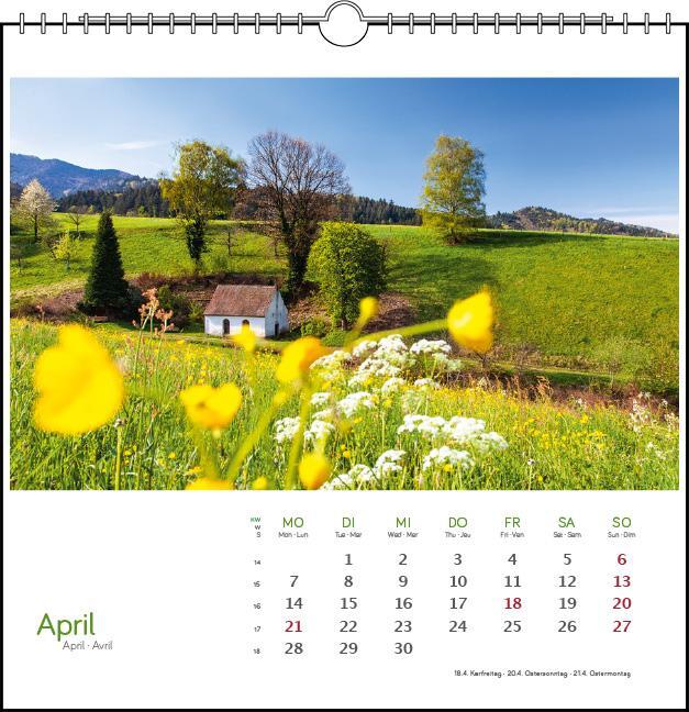 Bild: 9783861924135 | Schwarzwald 2025 | Postkarten-Tischkalender | Kalender | Spiralbindung