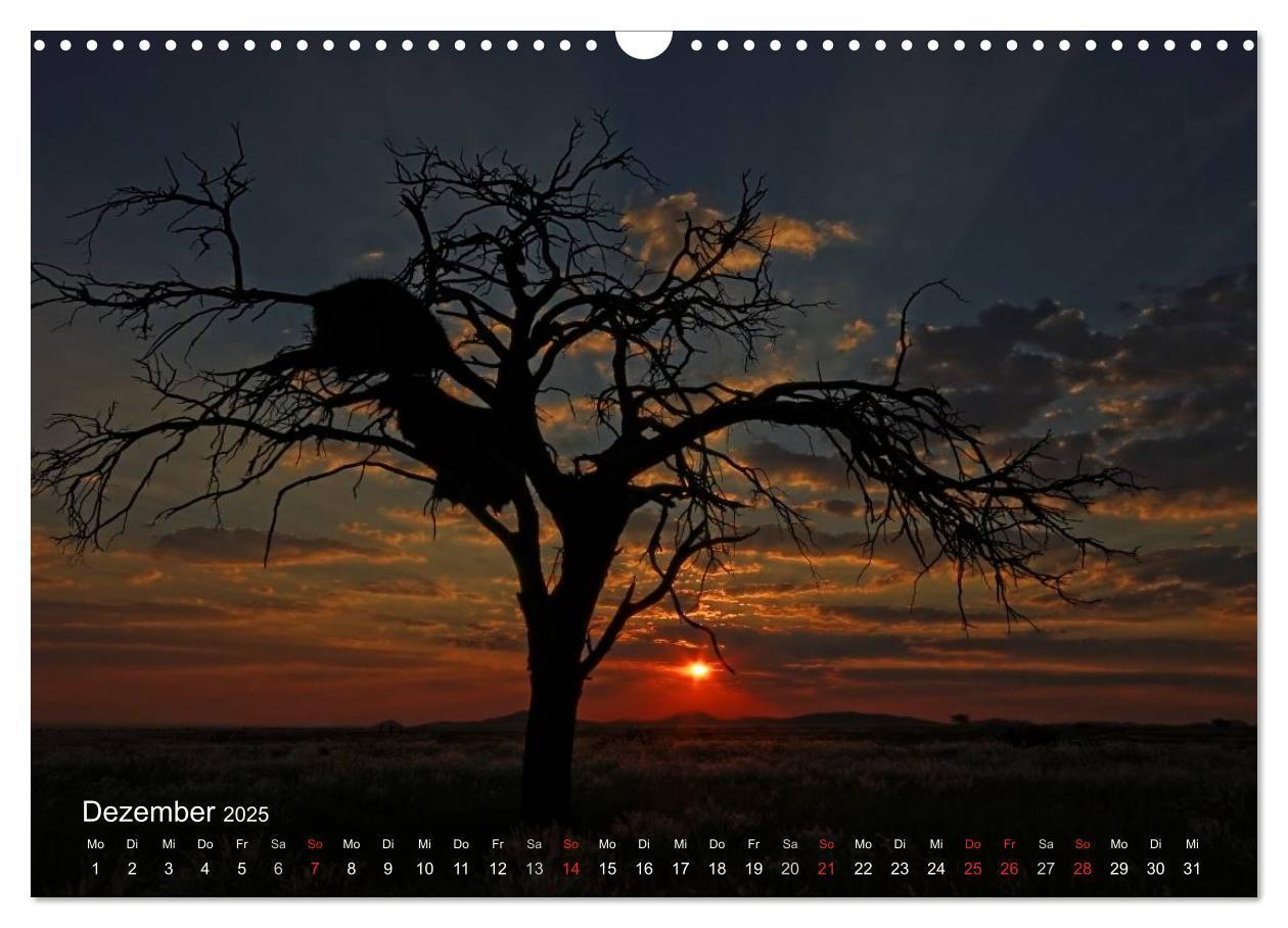 Bild: 9783435779246 | Afrikanische Bäume (Wandkalender 2025 DIN A3 quer), CALVENDO...