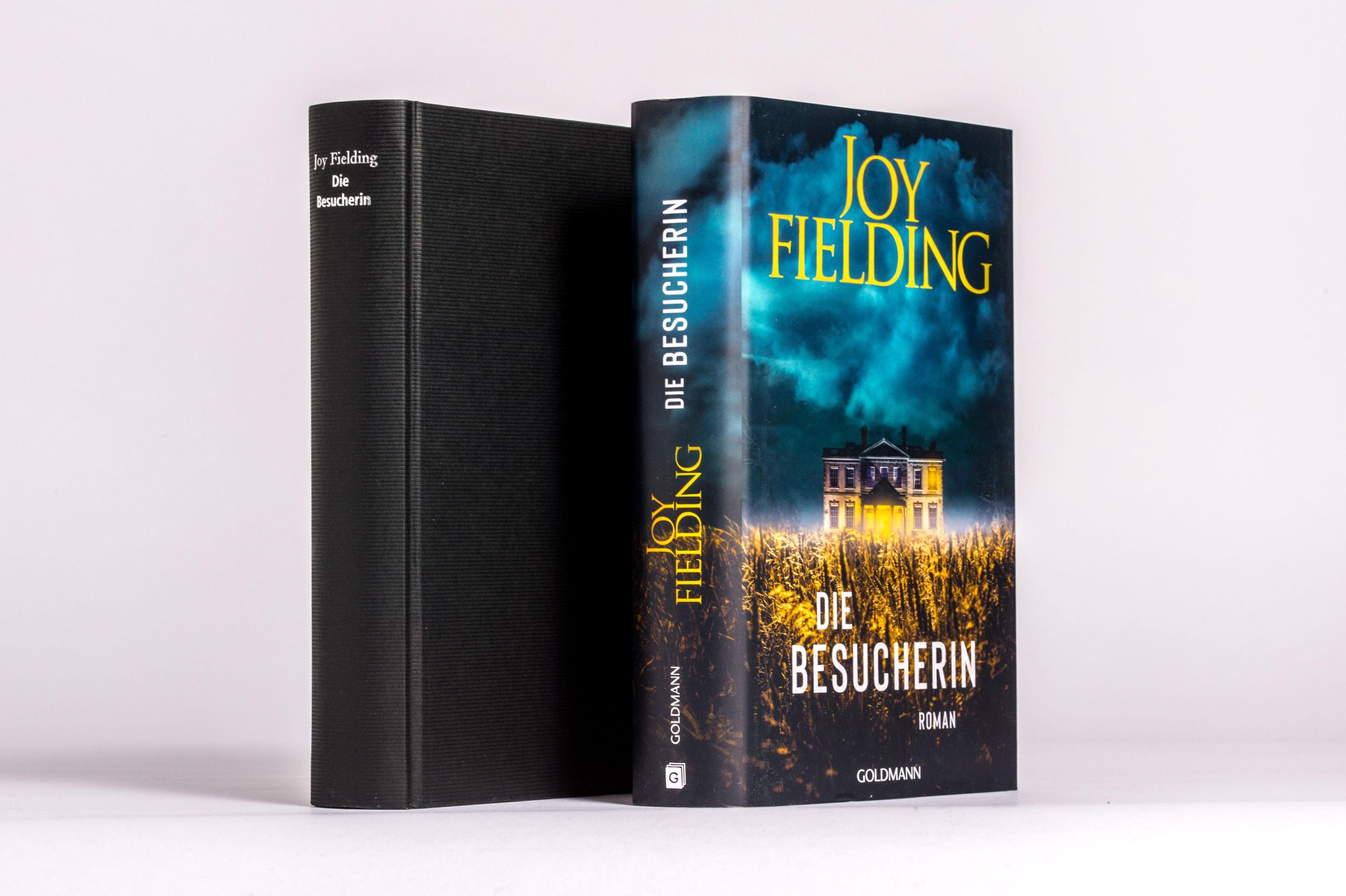 Bild: 9783442317875 | Die Besucherin | Roman | Joy Fielding | Buch | 448 S. | Deutsch | 2024