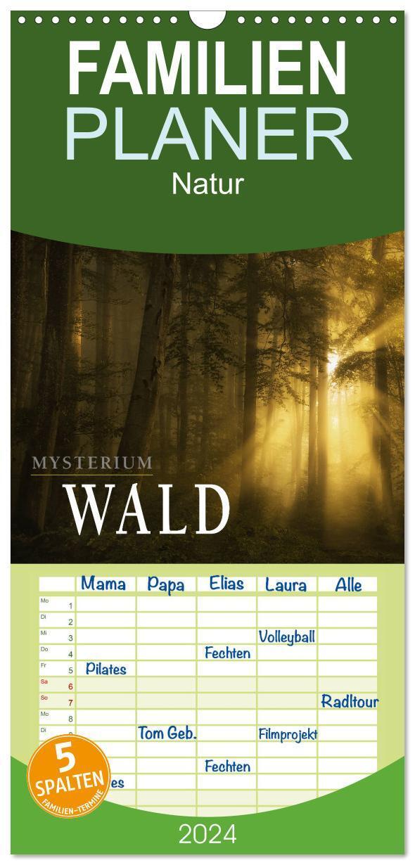 Cover: 9783383089114 | Familienplaner 2024 - Mysterium Wald mit 5 Spalten (Wandkalender,...