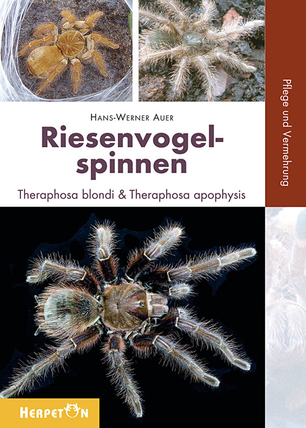 Cover: 9783936180268 | Riesenvogelspinnen | Hans W Auer | Taschenbuch | Deutsch | 2008