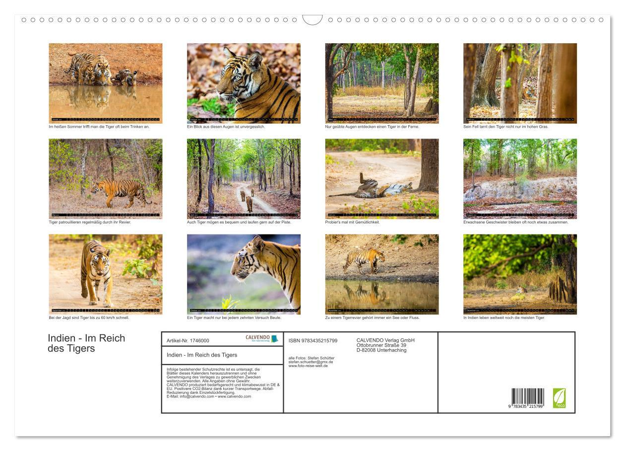 Bild: 9783435215799 | Indien - Im Reich des Tigers (Wandkalender 2025 DIN A2 quer),...