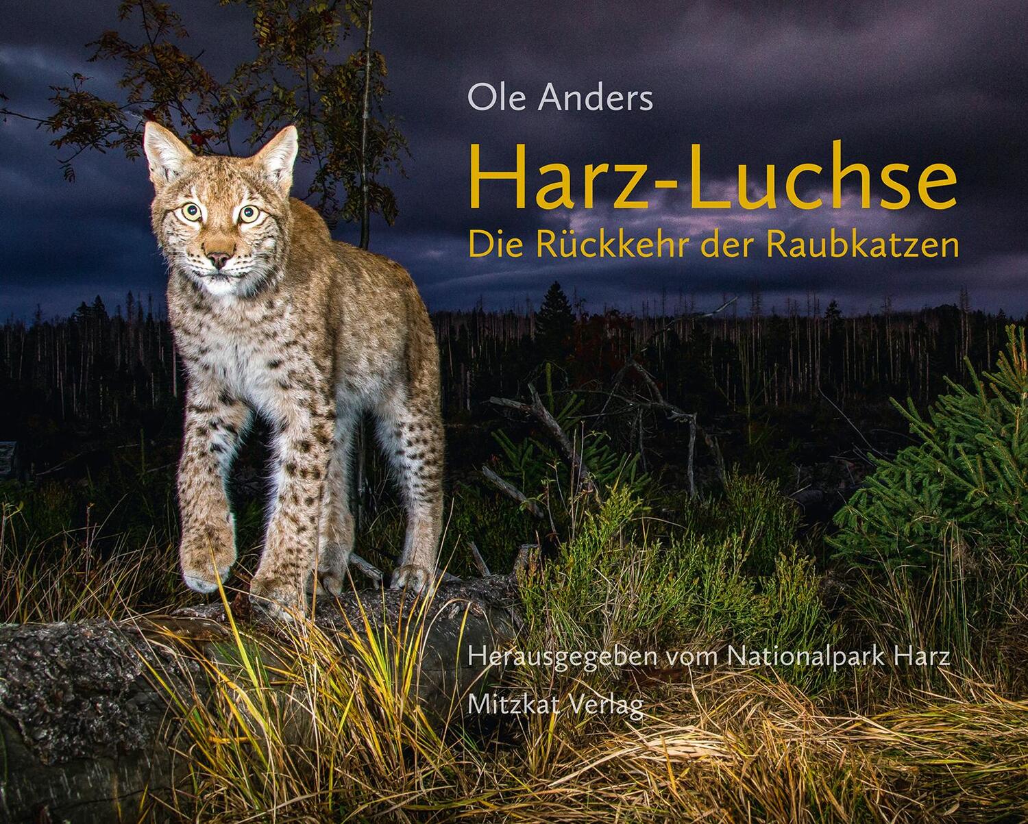 Cover: 9783959541374 | Harz-Luchse Die Rückkehr der Raubkatzen | Ole Anders | Buch | 128 S.