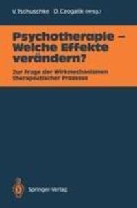 Cover: 9783540522331 | Psychotherapie ¿ Welche Effekte verändern? | Dietmar Czogalik (u. a.)