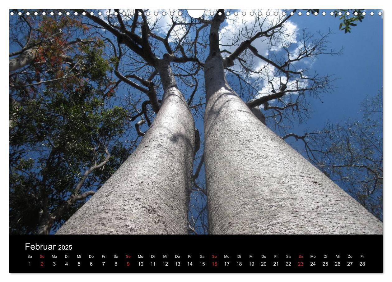 Bild: 9783435483587 | Abenteuer Madagaskar (Wandkalender 2025 DIN A3 quer), CALVENDO...